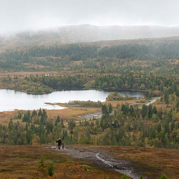 DDD_1906_ainabye DDD_1906_ainabye